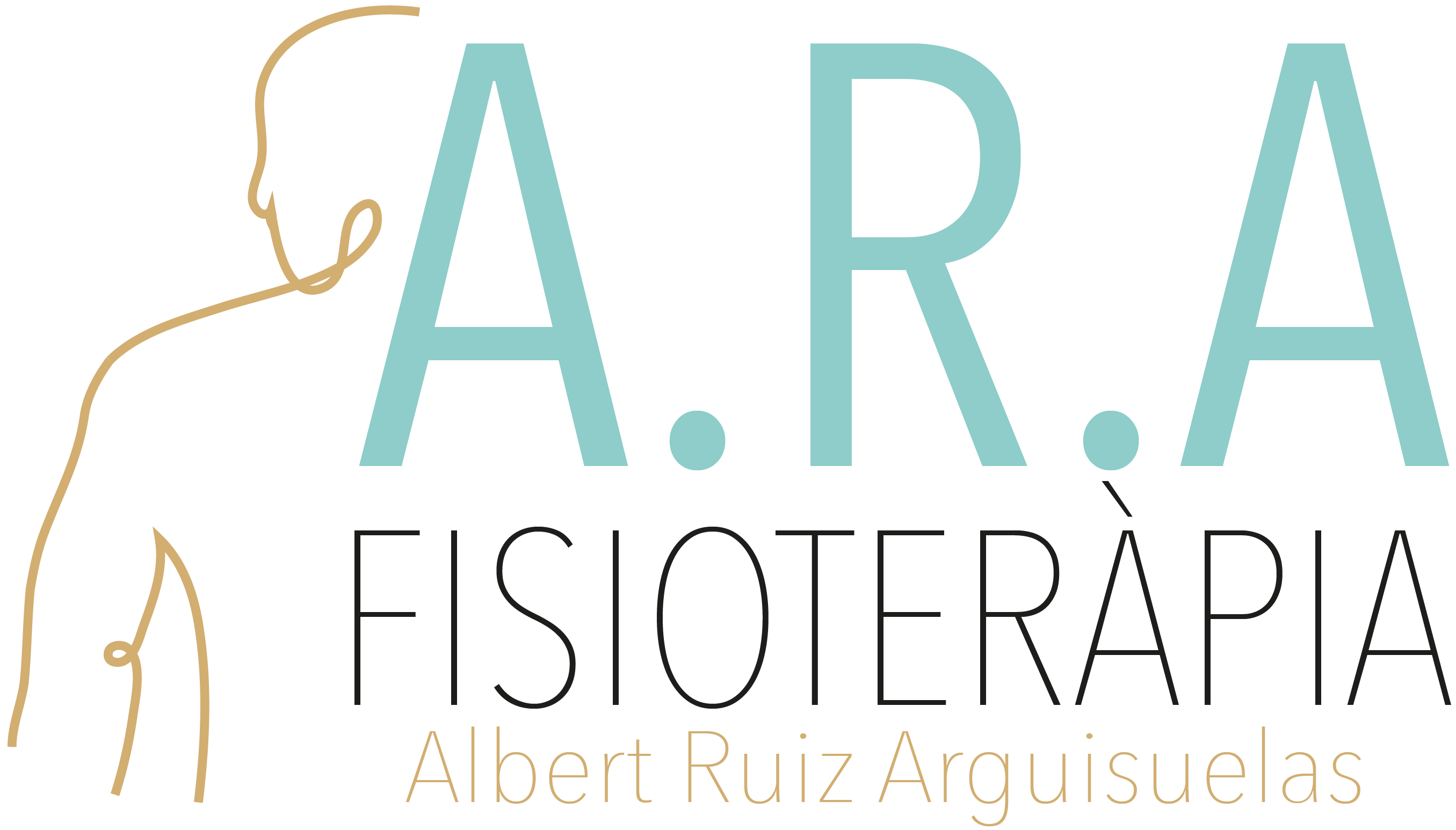 ARA Fisioteràpia